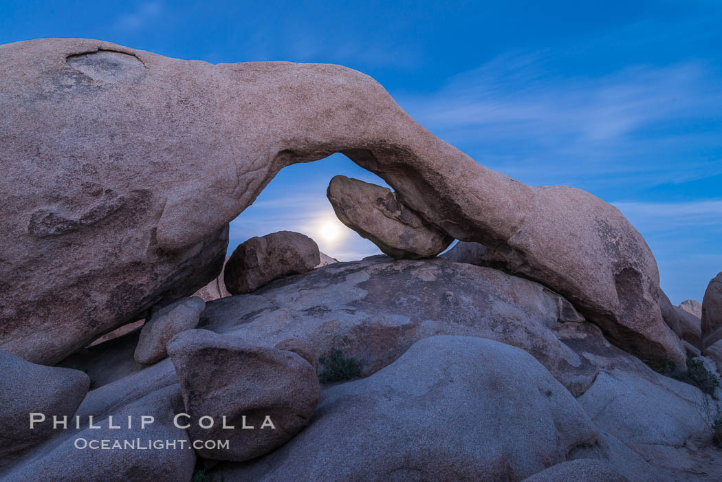 Full Moon Rising under Arch Rock, Joshua Tree National Park. California, USA, natural history stock photograph, photo id 30710