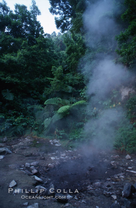 Fumeroles / steam vents / hot springs. Sao Miguel Island, Azores, Portugal, natural history stock photograph, photo id 05473