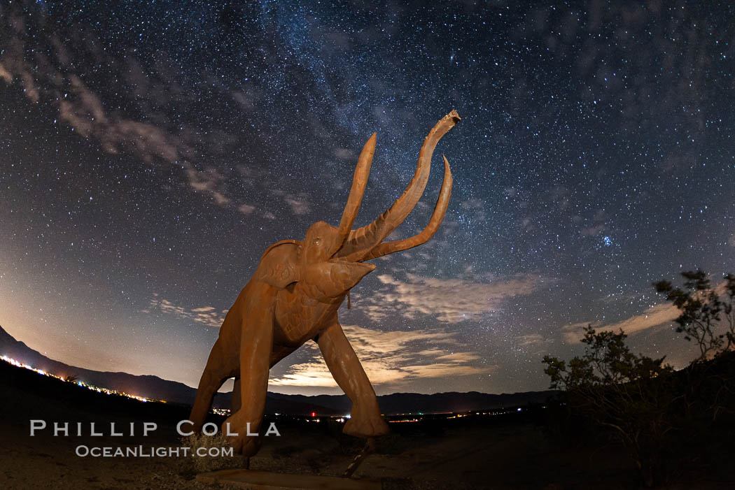 Mammoth art sculpture, by Ricardo Breceda, at night under the stars in Galleta Meadows. Borrego Springs, California, USA, natural history stock photograph, photo id 28813