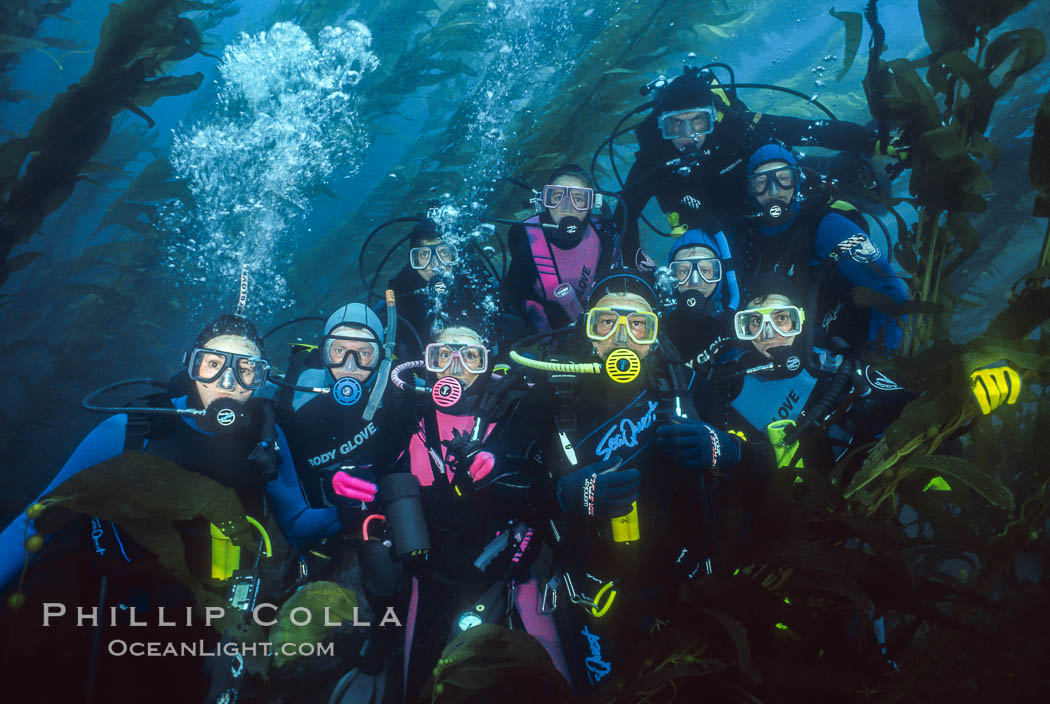 Divers in kelp forest. San Clemente Island, California, USA, Macrocystis pyrifera, natural history stock photograph, photo id 00273