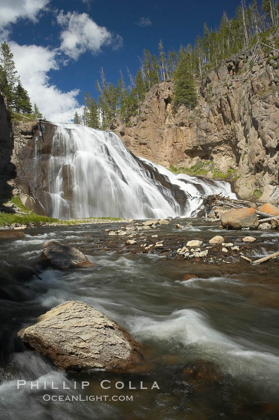 Gibbon Falls drops 80 feet through a deep canyon formed by the Gibbon River. Although visible from the road above, the best vantage point for viewing the falls is by hiking up the river itself. Yellowstone National Park, Wyoming, USA, natural history stock photograph, photo id 13283