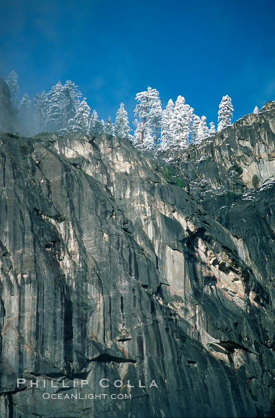 Glacier Point and trees. Yosemite National Park, California, USA, natural history stock photograph, photo id 02347