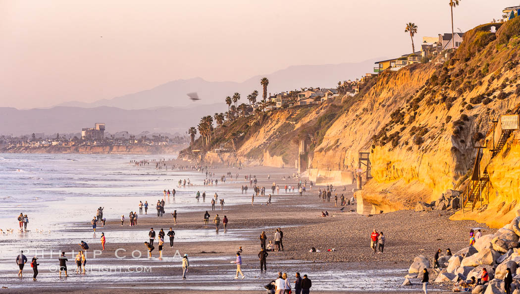 Golden sunset light on Encinitas Moonlight Beach. California, USA, natural history stock photograph, photo id 37584