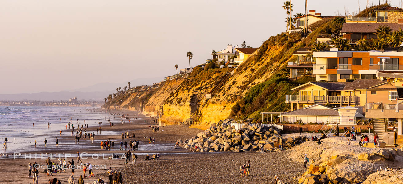 Natural History Photography