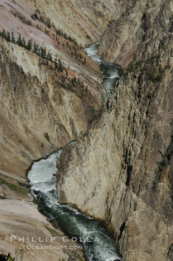 The Yellowstone River flows through the Grand Canyon of the Yellowstone, late afternoon looking east from Inspiration Point. Yellowstone National Park, Wyoming, USA, natural history stock photograph, photo id 07366