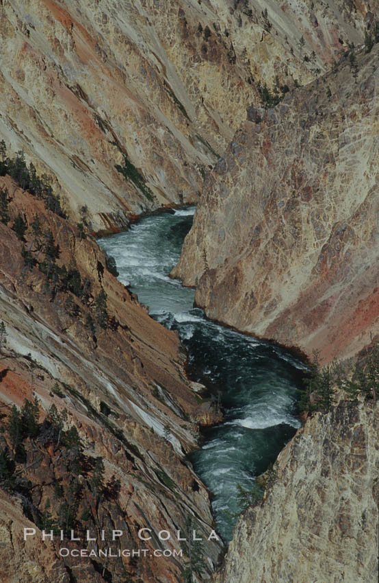 The Yellowstone River flows through the Grand Canyon of the Yellowstone, late afternoon looking east from Inspiration Point. Yellowstone National Park, Wyoming, USA, natural history stock photograph, photo id 07364