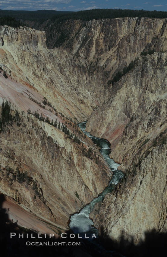 The Yellowstone River flows through the Grand Canyon of the Yellowstone, late afternoon looking east from Inspiration Point. Yellowstone National Park, Wyoming, USA, natural history stock photograph, photo id 07365