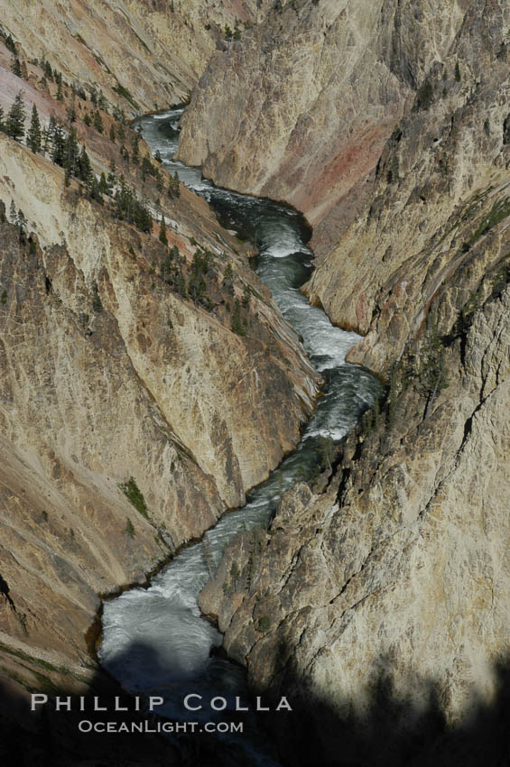 The Yellowstone River flows through the Grand Canyon of the Yellowstone, late afternoon looking east from Inspiration Point. Yellowstone National Park, Wyoming, USA, natural history stock photograph, photo id 07369