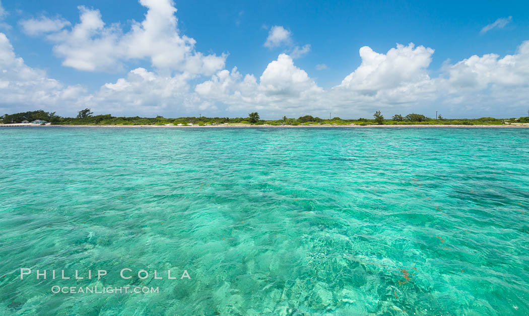 Grand Cayman Island, East End. Cayman Islands, natural history stock photograph, photo id 32138