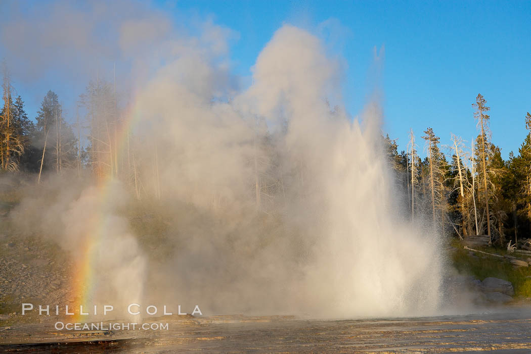 A rainbow forms in the mist from Grand Geyser and Vent Geyser.  Grand Geyser is a fountain-type geyser reaching 200 feet in height and lasting up to 12 minutes.  Grand Geyser is considered the tallest predictable geyser in the world, erupting about every 12 hours.  It is often accompanied by burst or eruptions from Vent Geyser and Turban Geyser just to its left.  Upper Geyser Basin. Yellowstone National Park, Wyoming, USA, natural history stock photograph, photo id 13452