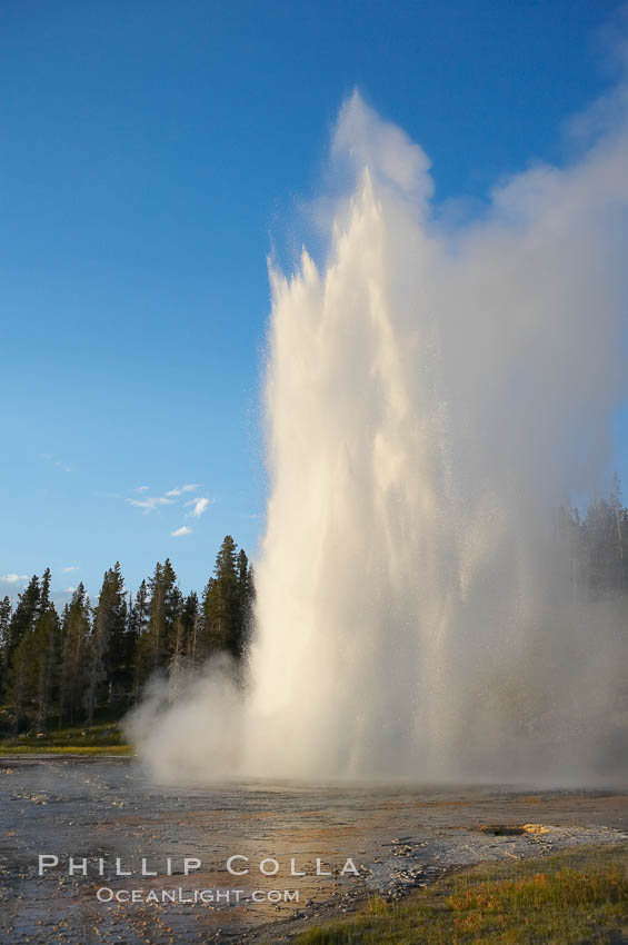 Grand Geyser erupts at sunset. Grand Geyser is a fountain-type geyser reaching 200 feet in height and lasting up to 12 minutes.  Grand Geyser is considered the tallest predictable geyser in the world, erupting about every 12 hours.  It is often accompanied by burst or eruptions from Vent Geyser and Turban Geyser just to its left.  Upper Geyser Basin. Yellowstone National Park, Wyoming, USA, natural history stock photograph, photo id 13456
