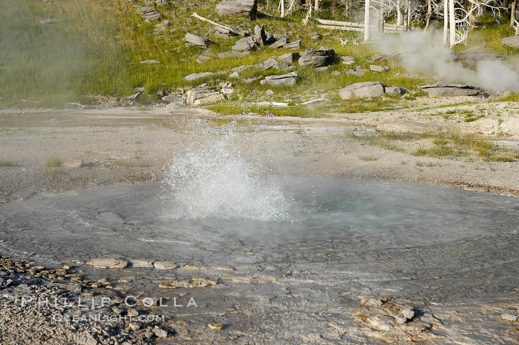 West Triplet Geyser boils, part of the Grand Group. Upper Geyser Basin, Yellowstone National Park, Wyoming, USA, natural history stock photograph, photo id 13461