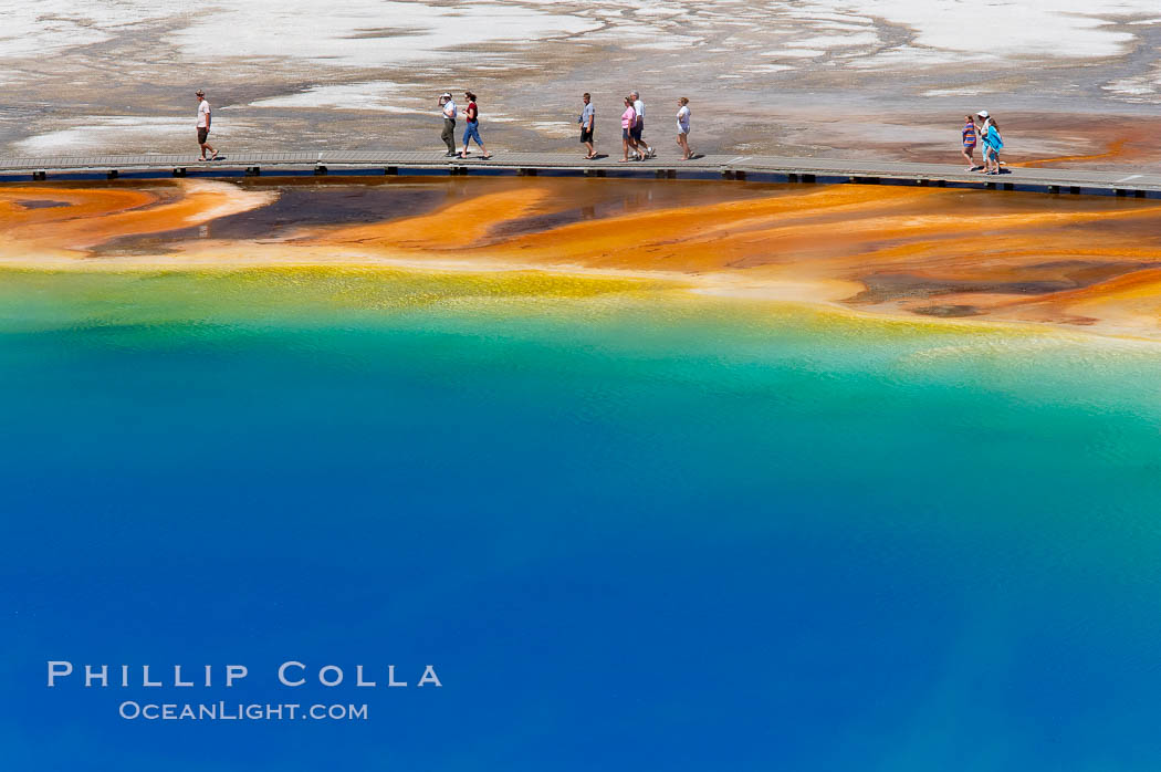 Grand Prismatic Spring displays a stunning rainbow of colors created by species of thermophilac (heat-loving) bacteria that thrive in narrow temperature ranges.  The blue water in the center is too hot to support any bacterial life, while the outer orange rings are the coolest water.  Grand Prismatic Spring is the largest spring in the United States and the third-largest in the world.  Midway Geyser Basin. Yellowstone National Park, Wyoming, USA, natural history stock photograph, photo id 13574