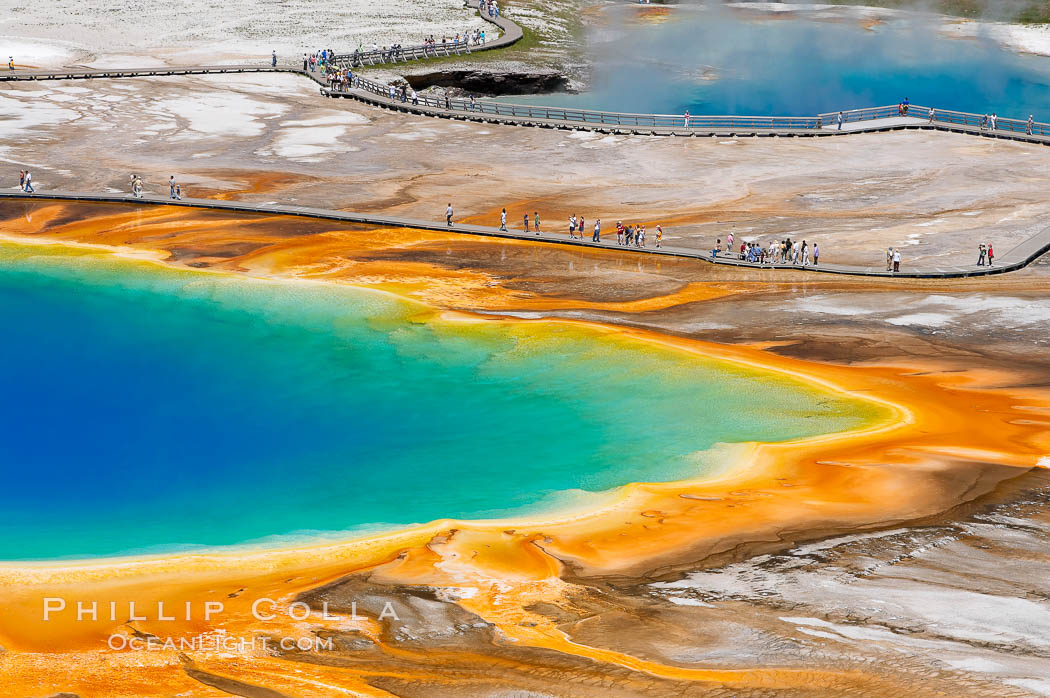 Grand Prismatic Spring displays a stunning rainbow of colors created by species of thermophilac (heat-loving) bacteria that thrive in narrow temperature ranges.  The blue water in the center is too hot to support any bacterial life, while the outer orange rings are the coolest water.  Grand Prismatic Spring is the largest spring in the United States and the third-largest in the world.  Midway Geyser Basin. Yellowstone National Park, Wyoming, USA, natural history stock photograph, photo id 13582