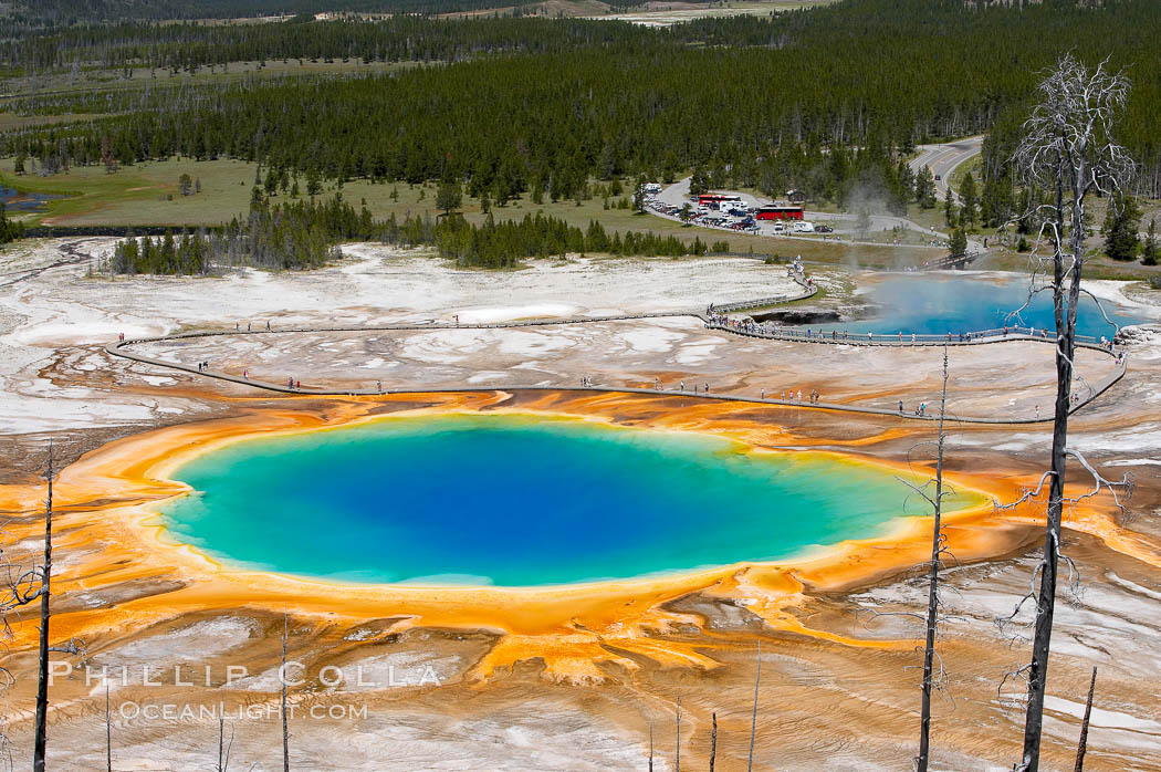 Grand Prismatic Spring (left) and Excelsior Geyser (right).  Grand Prismatic Spring displays a stunning rainbow of colors created by species of thermophilac (heat-loving) bacteria that thrive in narrow temperature ranges.  The blue water in the center is too hot to support any bacterial life, while the outer orange rings are the coolest water.  Grand Prismatic Spring is the largest spring in the United States and the third-largest in the world.  Midway Geyser Basin. Yellowstone National Park, Wyoming, USA, natural history stock photograph, photo id 13576