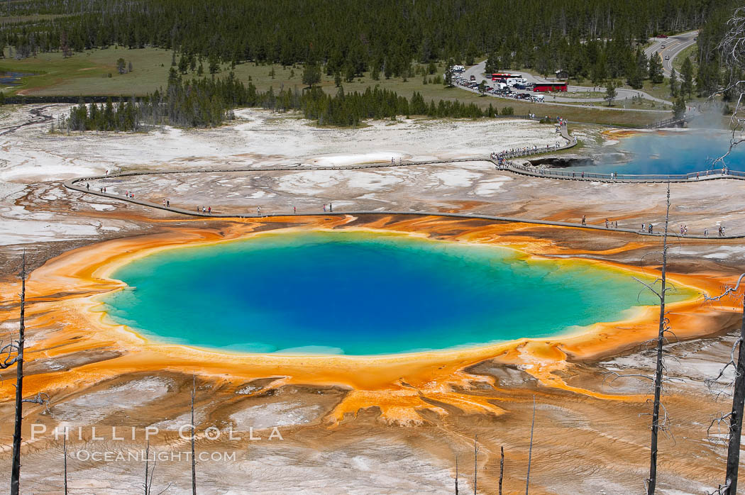 Grand Prismatic Spring (left) and Excelsior Geyser (right).  Grand Prismatic Spring displays a stunning rainbow of colors created by species of thermophilac (heat-loving) bacteria that thrive in narrow temperature ranges.  The blue water in the center is too hot to support any bacterial life, while the outer orange rings are the coolest water.  Grand Prismatic Spring is the largest spring in the United States and the third-largest in the world.  Midway Geyser Basin. Yellowstone National Park, Wyoming, USA, natural history stock photograph, photo id 13571