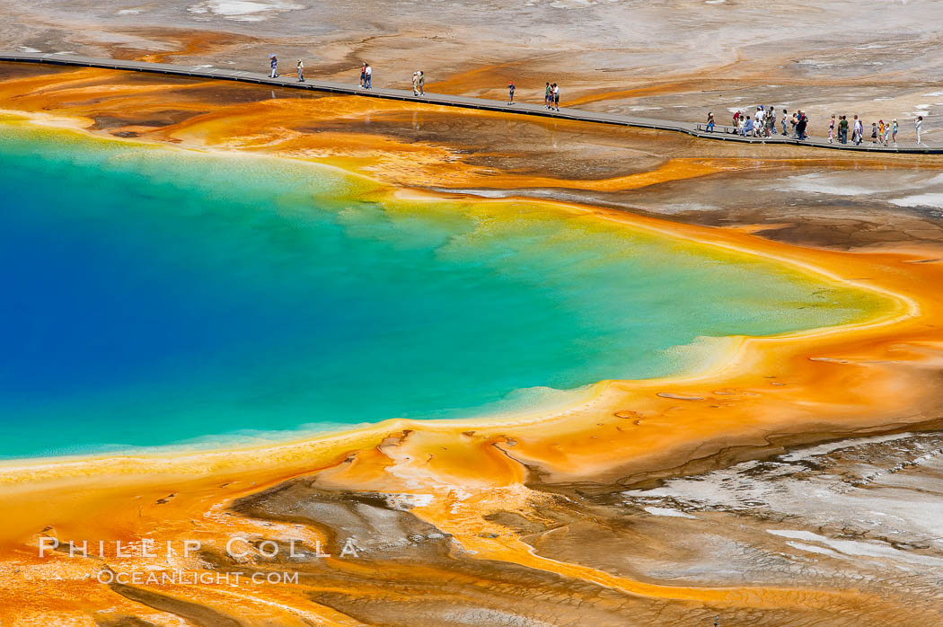 Grand Prismatic Spring displays a stunning rainbow of colors created by species of thermophilac (heat-loving) bacteria that thrive in narrow temperature ranges.  The blue water in the center is too hot to support any bacterial life, while the outer orange rings are the coolest water.  Grand Prismatic Spring is the largest spring in the United States and the third-largest in the world.  Midway Geyser Basin. Yellowstone National Park, Wyoming, USA, natural history stock photograph, photo id 13579