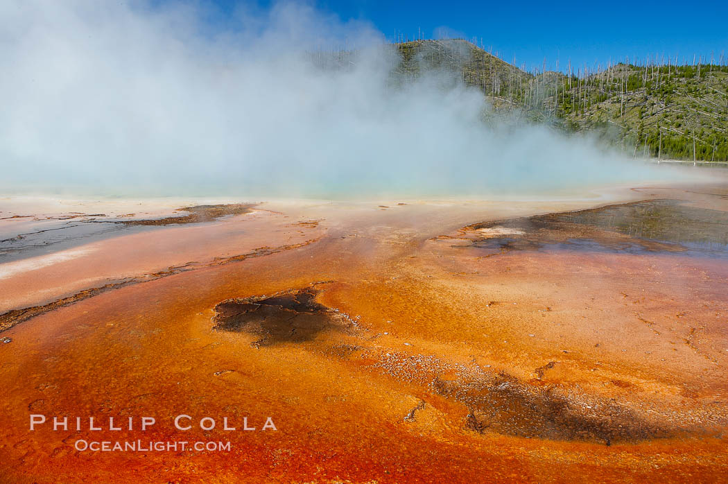 Grand Prismatic Spring displays brilliant colors along its edges, created by species of thermophilac (heat-loving) bacteria that thrive in narrow temperature ranges.  The outer orange and red regions are the coolest water in the spring, where the overflow runs off.  Midway Geyser Basin. Yellowstone National Park, Wyoming, USA, natural history stock photograph, photo id 13587