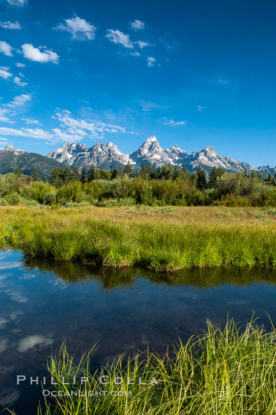 The Teton Range is reflected in a calm sidewater of the Snake River near Blacktail Ponds, summer. Grand Teton National Park, Wyoming, USA, natural history stock photograph, photo id 07766