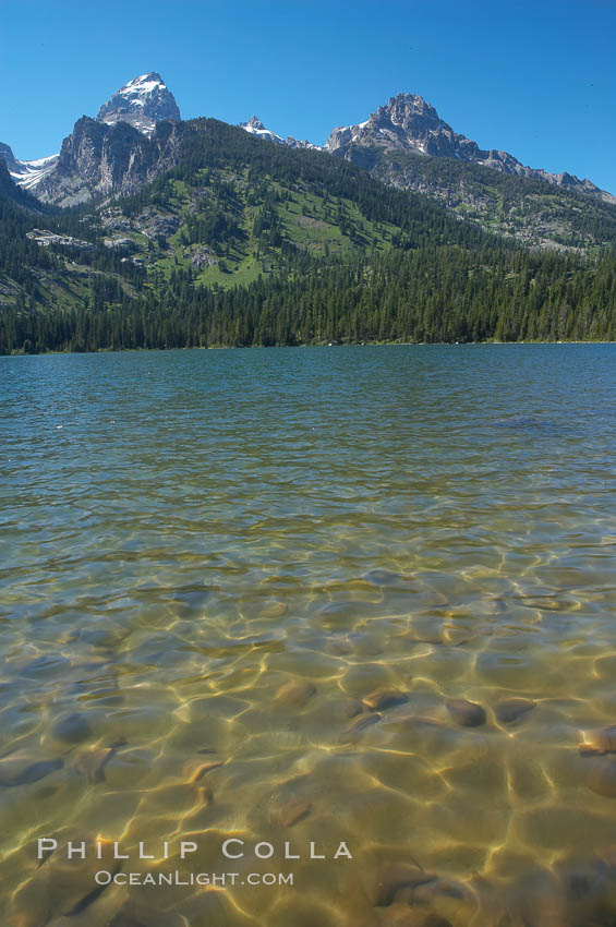 The Teton Range rises above Bradley Lake. Grand Teton National Park, Wyoming, USA, natural history stock photograph, photo id 13017