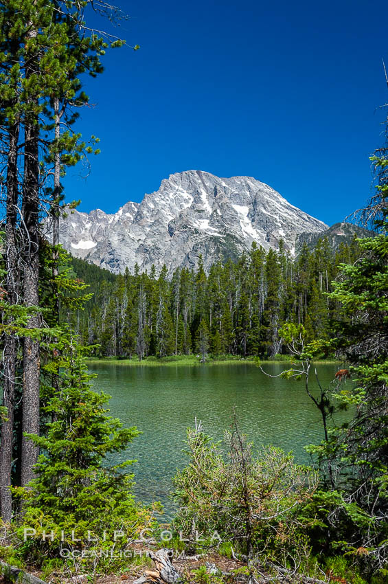 Mount Moran rises above String Lake. Grand Teton National Park, Wyoming, USA, natural history stock photograph, photo id 07406