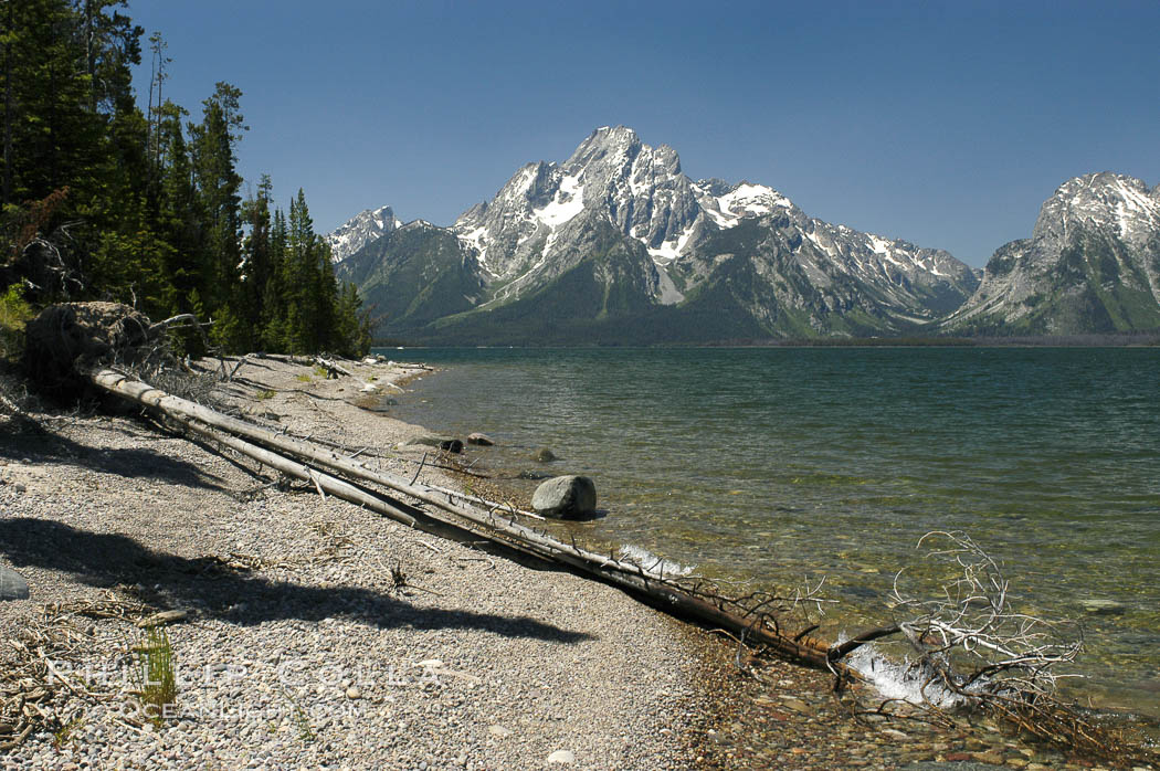 Rocky shoreline of Jackson Lake with Mount Moran in the background. Grand Teton National Park, Wyoming, USA, natural history stock photograph, photo id 07414