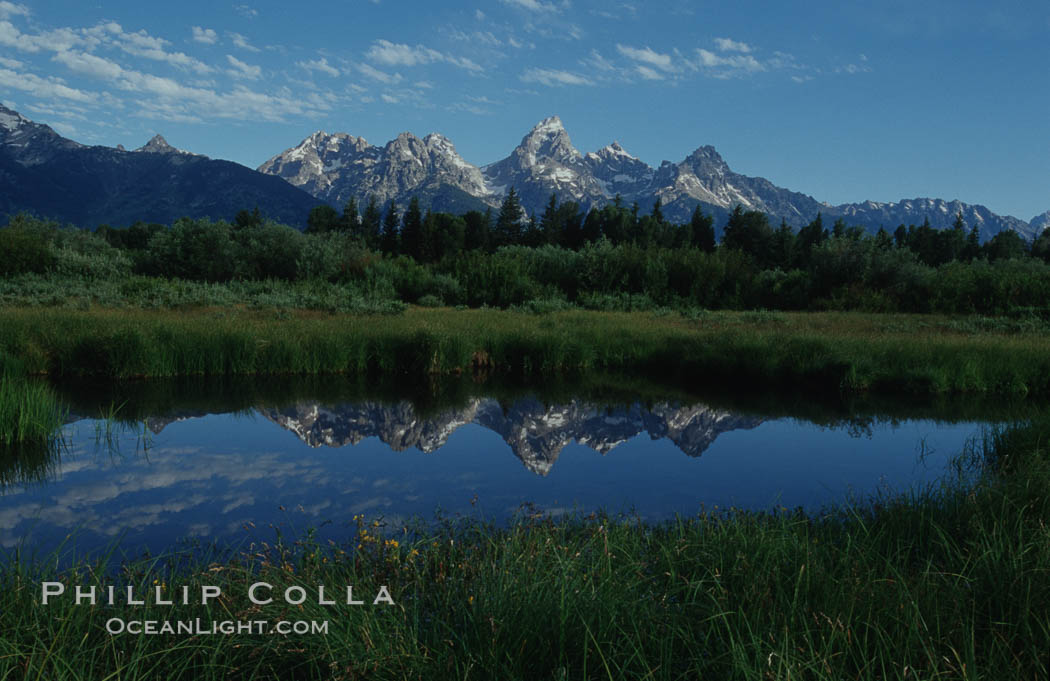 The Teton Range is reflected in a calm sidewater of the Snake River near Blacktail Ponds, summer. Grand Teton National Park, Wyoming, USA, natural history stock photograph, photo id 07442
