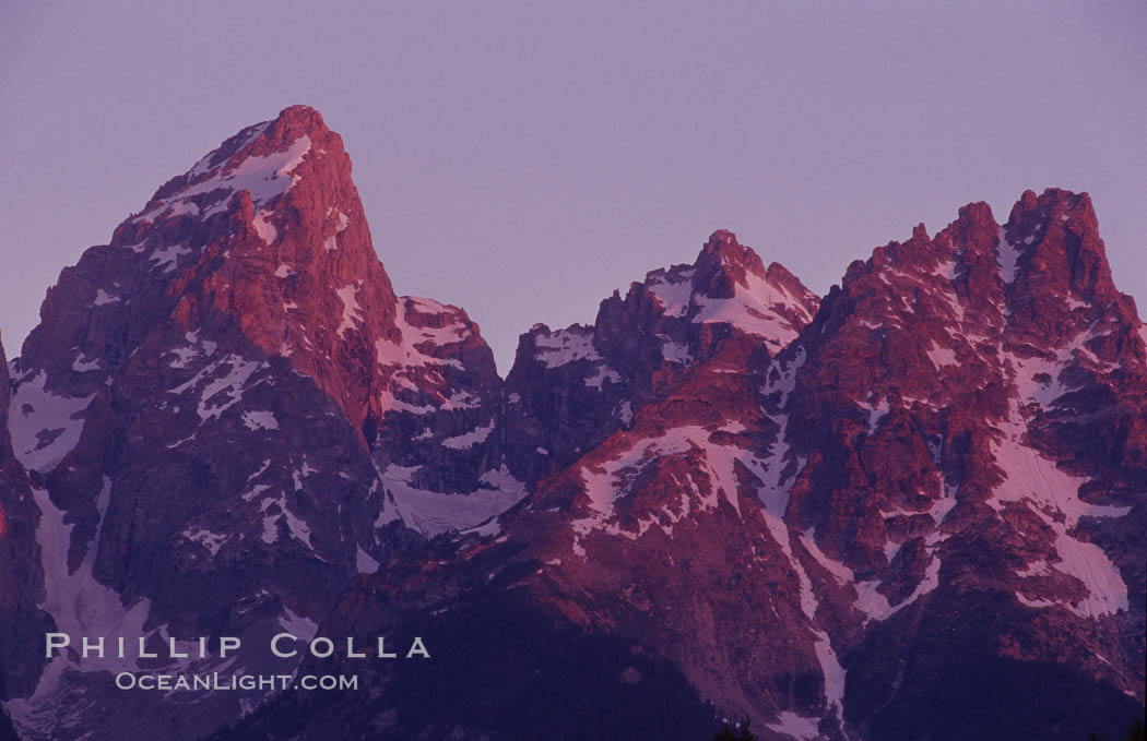 The Teton Range at sunrise, summer. Grand Teton National Park, Wyoming, USA, natural history stock photograph, photo id 07384