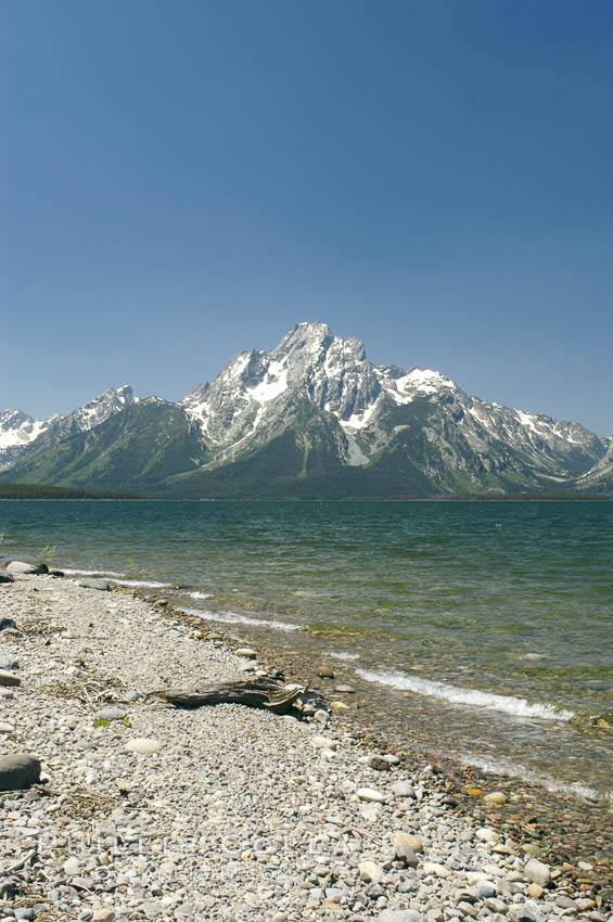 Driftwood along the shoreline of Jackson Lake with Mount Moran in the background. Grand Teton National Park, Wyoming, USA, natural history stock photograph, photo id 07416