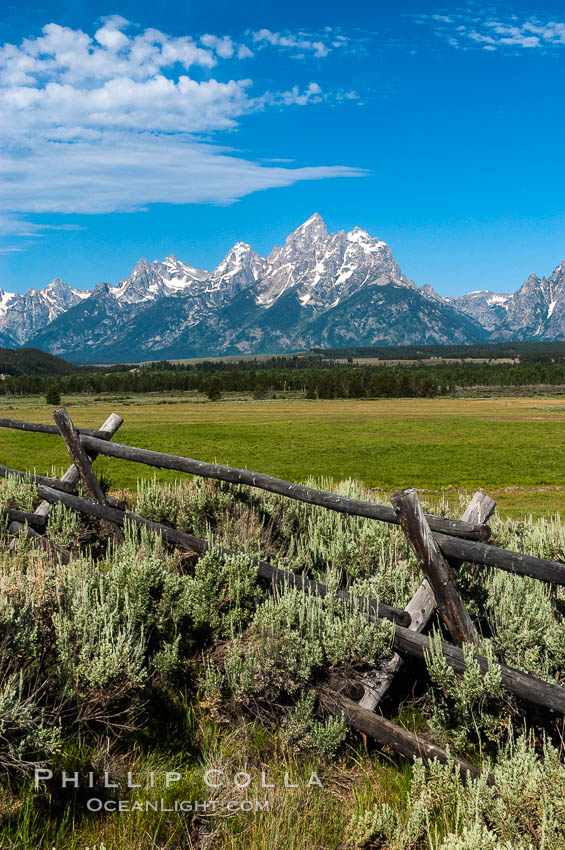 Buck and rail fence. Grand Teton National Park, Wyoming, USA, natural history stock photograph, photo id 07432