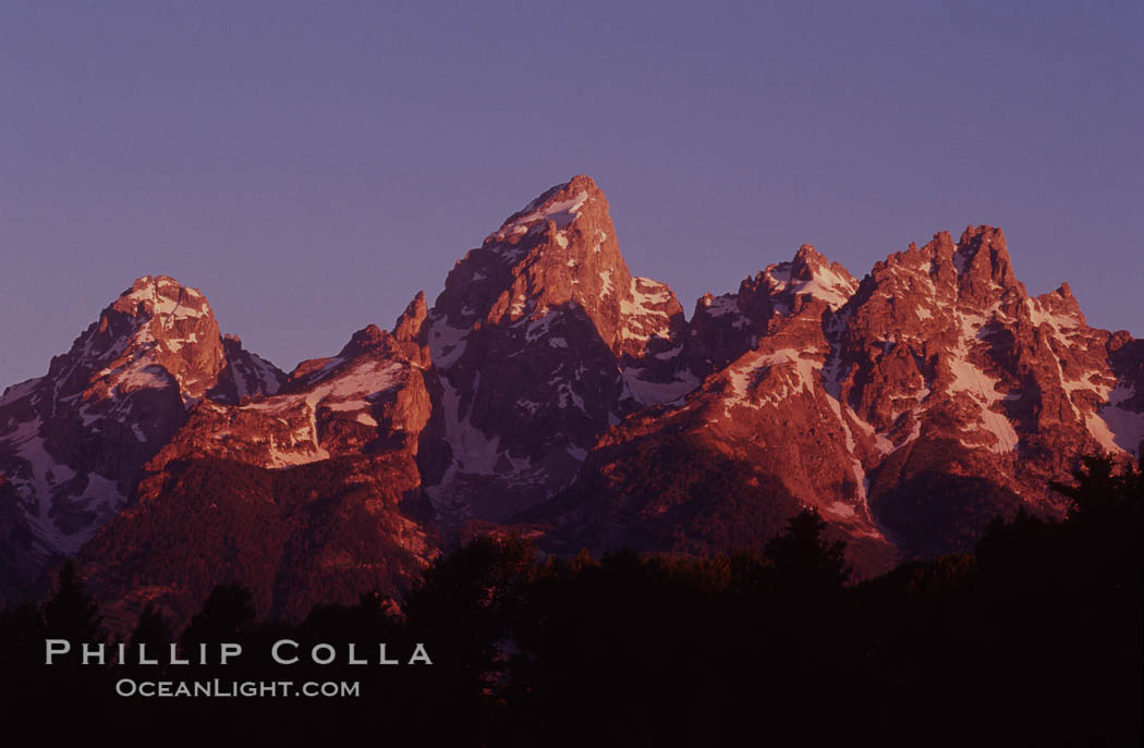 The Teton Range at sunrise, summer. Grand Teton National Park, Wyoming, USA, natural history stock photograph, photo id 07383