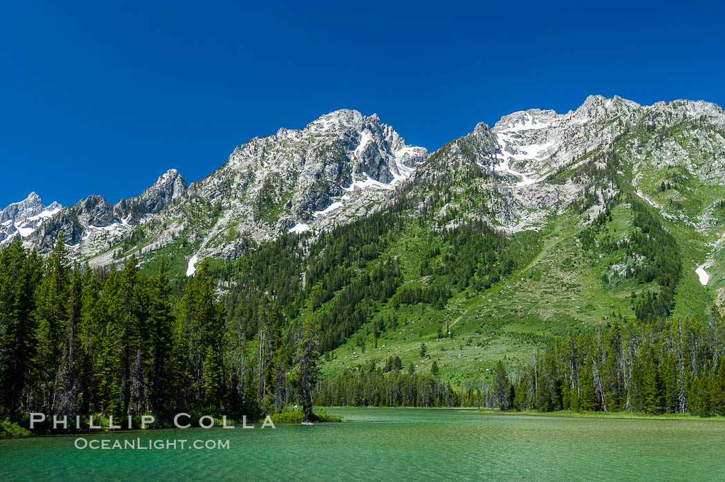 Mount Moran rises above String Lake. Grand Teton National Park, Wyoming, USA, natural history stock photograph, photo id 07407