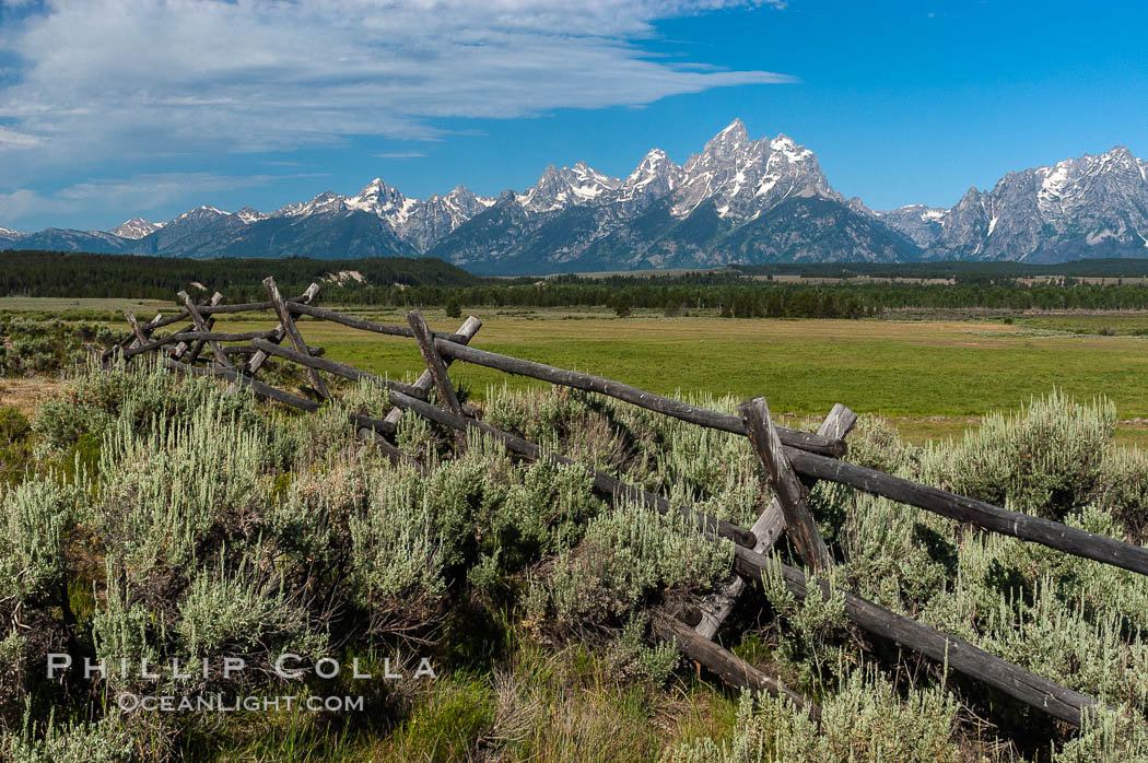Buck and rail fence. Grand Teton National Park, Wyoming, USA, natural history stock photograph, photo id 07431