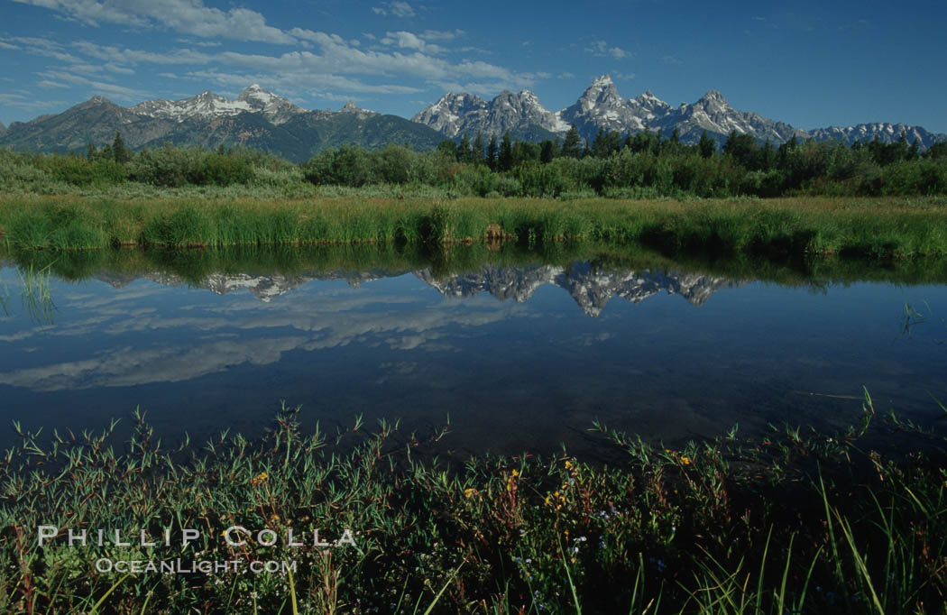 The Teton Range is reflected in a calm sidewater of the Snake River near Blacktail Ponds, summer. Grand Teton National Park, Wyoming, USA, natural history stock photograph, photo id 07443