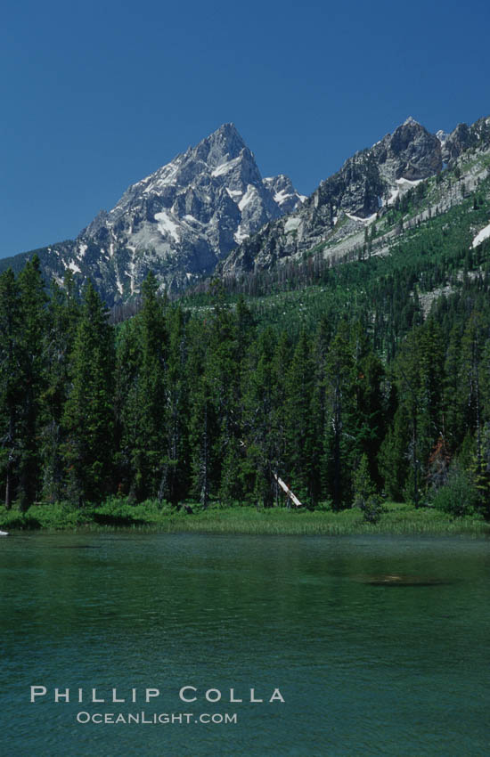 String Lake and the Teton Range, summer. Grand Teton National Park, Wyoming, USA, natural history stock photograph, photo id 07451