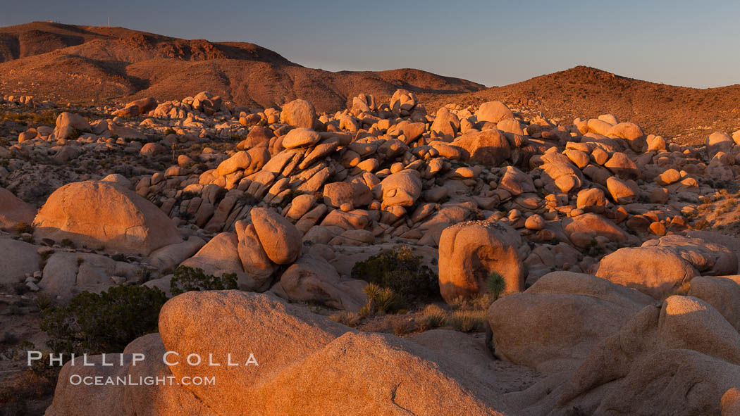 Ancient granite boulders at Joshua Tree National park, at sunset. Joshua Tree National Park, California, USA, natural history stock photograph, photo id 26797