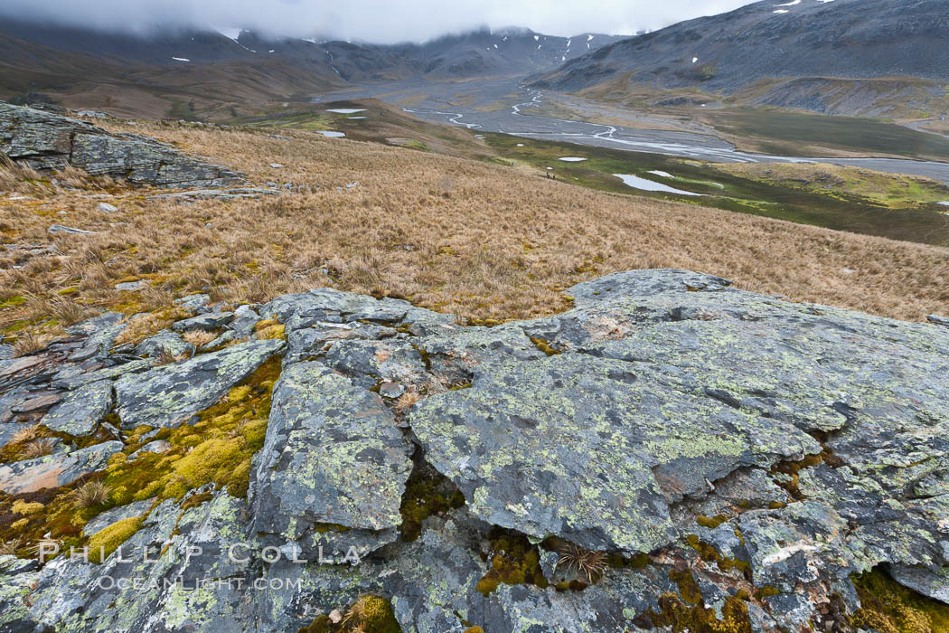 Grassy windy highlands and rocks, overlooking alluvial floodplain formed by glacier runoff near Stromness Bay. Stromness Harbour, South Georgia Island, natural history stock photograph, photo id 24584