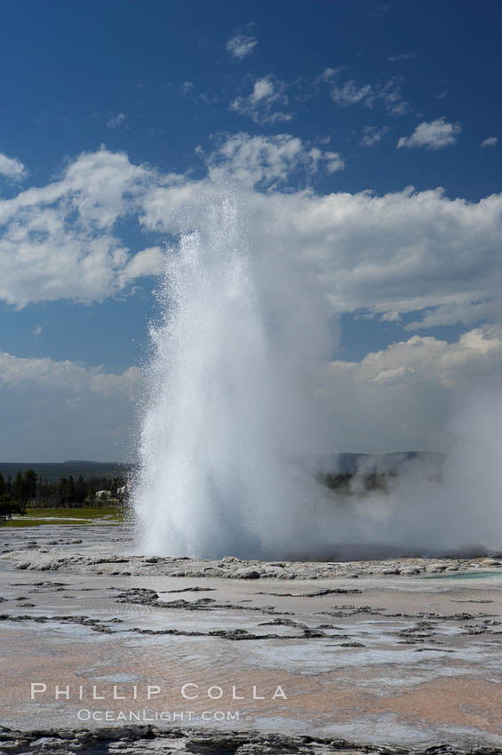 Great Fountain Geyser erupting.  Great Fountain Geyser, a fountain-type geyser, can reach heights of 200 feet, one of the largest geysers in the world.  It has a large vent (16 feet across) situated amid wide sinter terraces that act as reflecting pools as the geyser slows fills prior to its eruption.  Its interval and duration vary widely.  It typically erupts in a series of bursts, each separately by a few minutes.  Firehole Lake Drive. Lower Geyser Basin, Yellowstone National Park, Wyoming, USA, natural history stock photograph, photo id 13560