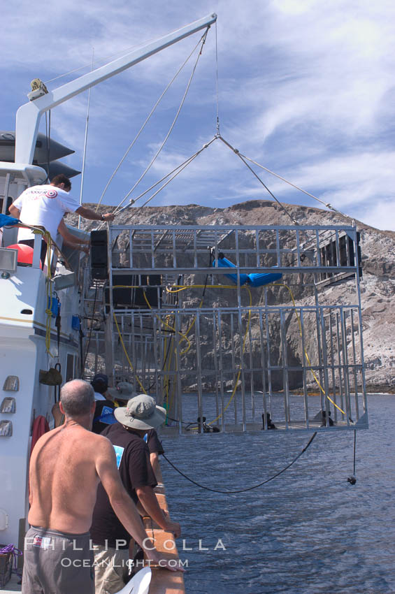 The SharkDiver.com crew, aboard the long range San Diego vessel Ocean Odyssey, lifts a custom-made aluminum shark cage from the shark-filled waters of Isla Guadalupe, far offshore of the Pacific Coast of Baja California.  Guadalupe Island is host to a concentration of large great white sharks, which visit the island to feed on pinnipeds and tuna. Guadalupe Island (Isla Guadalupe), Mexico, Carcharodon carcharias, natural history stock photograph, photo id 07697