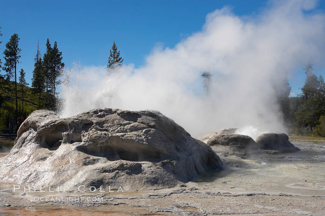 Grotto Geyser (left) and Rocket Geyser (right) erupt.  Upper Geyser Basin. Yellowstone National Park, Wyoming, USA, natural history stock photograph, photo id 13402