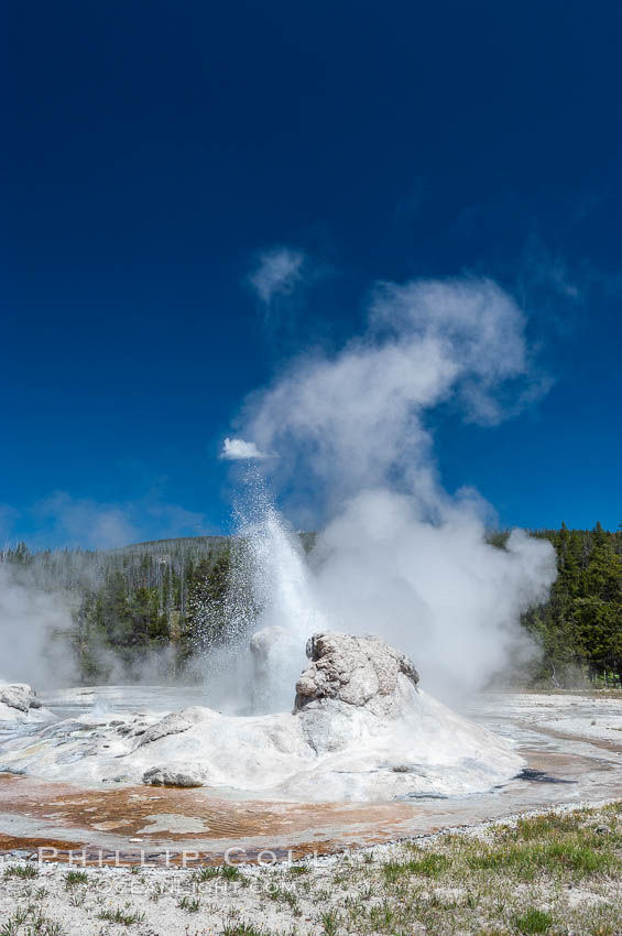 Grotto Geyser, Yellowstone National Park. Upper Geyser Basin, Wyoming, USA, natural history stock photograph, photo id 07206