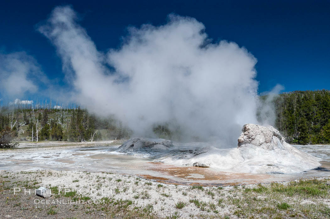 Grotto Geyser, Yellowstone National Park. Upper Geyser Basin, Wyoming, USA, natural history stock photograph, photo id 07204