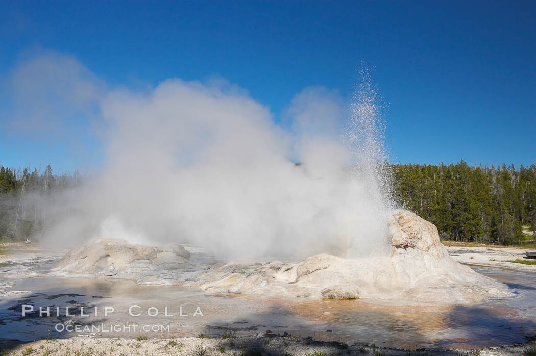 Grotto Geyser (right) and Rocket Geyser (left) erupt.  Upper Geyser Basin. Yellowstone National Park, Wyoming, USA, natural history stock photograph, photo id 13404