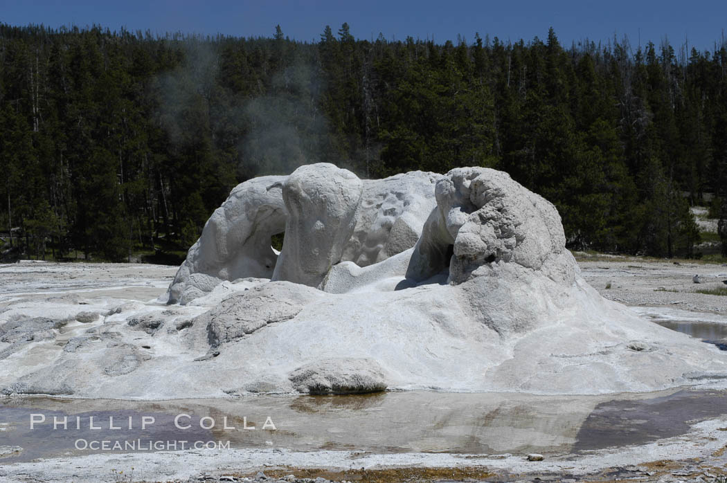 Sinter cone of oddly-shaped Grotto Geyser, thought to be formed over ancient tree stumps. Upper Geyser Basin, Yellowstone National Park, Wyoming, USA, natural history stock photograph, photo id 07205