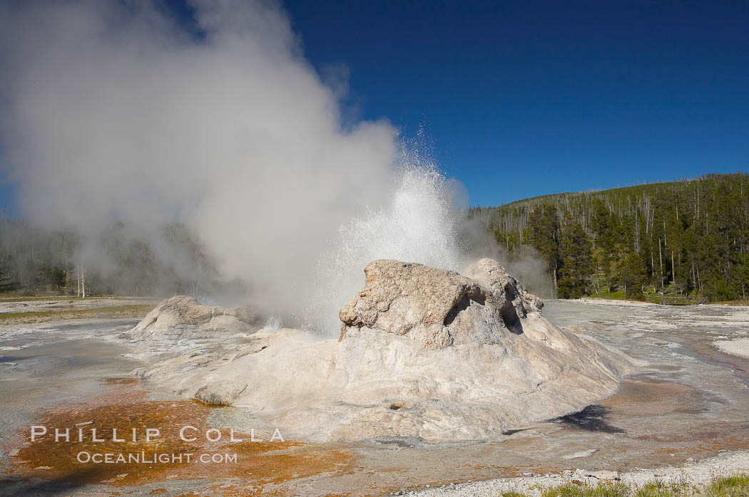 Grotto Geyser erupts.  Upper Geyser Basin. Yellowstone National Park, Wyoming, USA, natural history stock photograph, photo id 13397