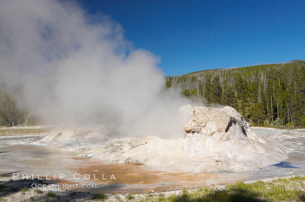 Grotto Geyser steams.  Upper Geyser Basin. Yellowstone National Park, Wyoming, USA, natural history stock photograph, photo id 13401