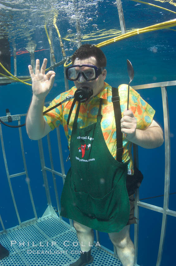 A Canadian television chef waves to the camera from a shark cage at Guadalupe Island.  Huh?. Guadalupe Island (Isla Guadalupe), Baja California, Mexico, natural history stock photograph, photo id 07696