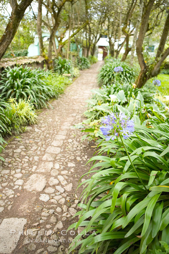 Hacienda Cusin, a 17th-century estate in the Ecuadorian Andes near Otavalo. San Pablo del Lago, natural history stock photograph, photo id 16784