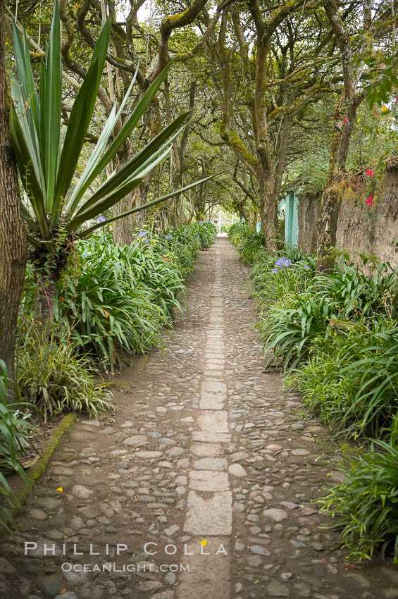 Hacienda Cusin, a 17th-century estate in the Ecuadorian Andes near Otavalo. San Pablo del Lago, natural history stock photograph, photo id 16781