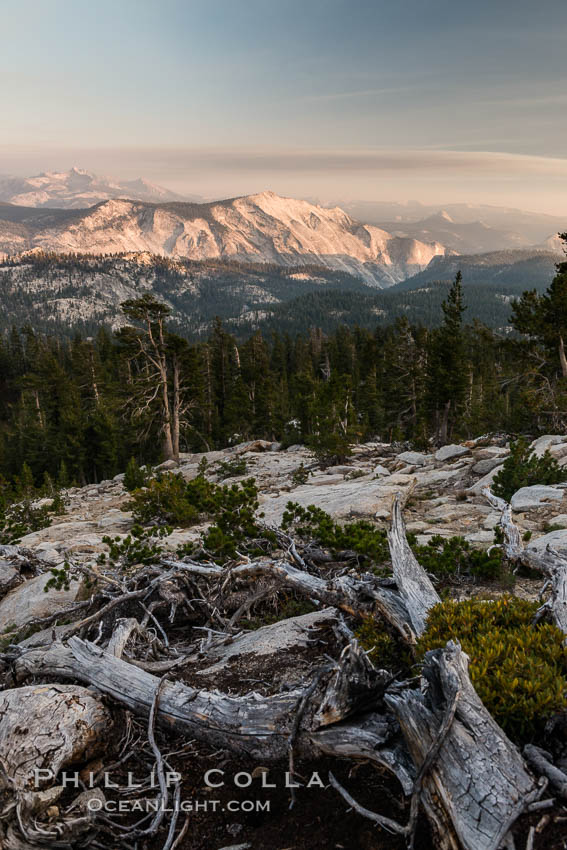 Half Dome and Cloud's Rest from Summit of Mount Hoffmann, sunset. Yosemite National Park, California, USA, natural history stock photograph, photo id 31203